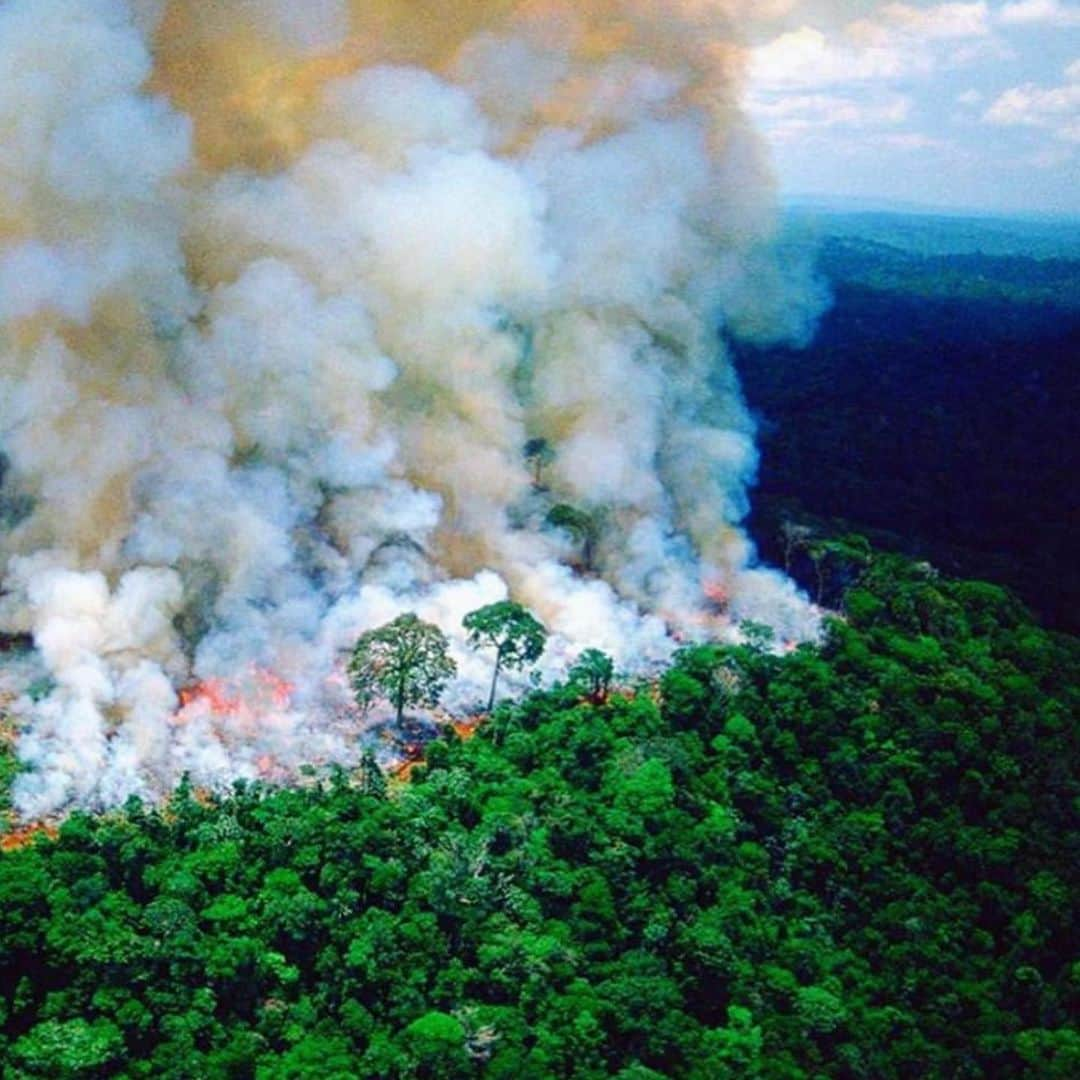 フェルナンダ・リマさんのインスタグラム写真 - (フェルナンダ・リマInstagram)「Barbárie ambiental. Ate quando? #AMAZÔNIA #TODOSPELAAMAZONIA  Imagens representativas de dor e caos para expressar a indignação.」8月22日 20時20分 - fernandalima