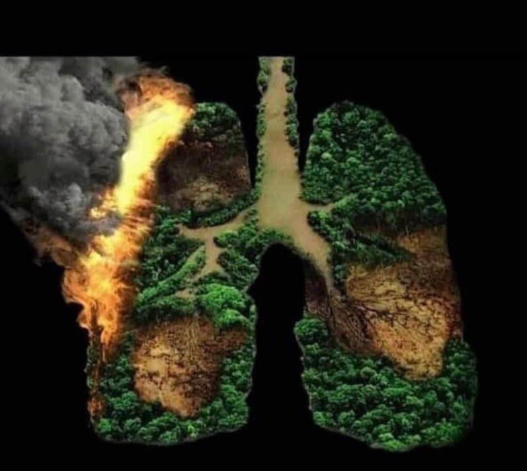 レアンドロ・ダニエル・パレデスのインスタグラム：「Se quema el amazonas😢 Son los pulmones del planeta tierrA  Producen el 20 % del oxigeno en la tierra Equilibra los climas del mundo entero  Es la selva tropical mas grande del planeta Esto nos perjudica a todos A los animales que estan muriendo A a los indigenas residentes, Esto tiene que parar! Conservar el amazonas es escencial para conservar nuestro planeta  Tomemos conciencia a tiempo  para que no sea demasiado tarde.  #prayforamazonas 🌳🌲」