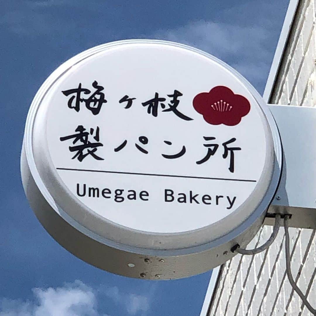 山本華世さんのインスタグラム写真 - (山本華世Instagram)「加布里で見つけたよ。太宰府でなく大阪って‼️知らんかったぁ。 #しゃれとんしゃあ ＃見てね #めんたいワイド #山本カヨ #ロケ#グルメ#美味しいパン」8月22日 20時56分 - kayo_092