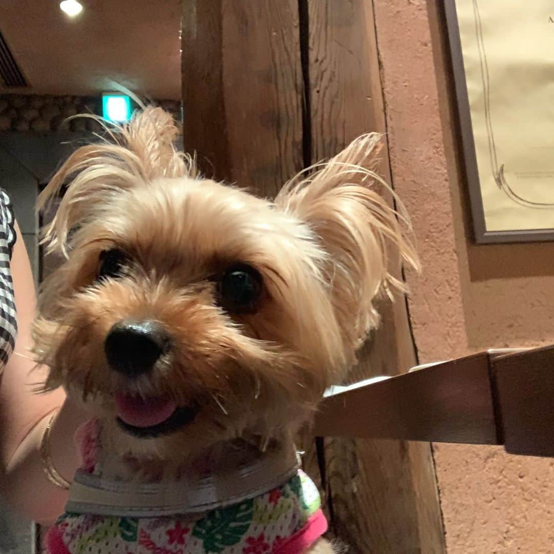 Rubyのグルメインスタ