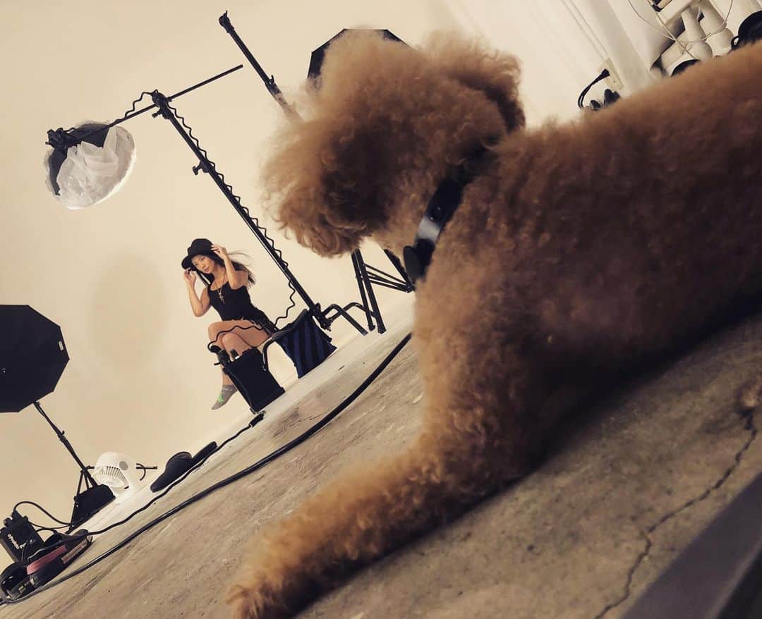DJ JUICYのインスタグラム：「辛い時も、悲しい時も、楽しい時も、酔っ払ってバカになってる時も、いつもこんな感じで見守ってくれてるベビ😍 13年と7ヶ月の付き合い😌長いね✨ ジューシー君を飼い始めた時は、神様はなんでジューシー君を人間ではなく、トイプードルとして私に出逢わせたんだろ〜って泣いてた...😢💦 でも今は、逆にこの姿だからこんなに長くずっと近くにいれるのかなって思う🥰🥰🥰大好きだょ❤️そしてありがとう💙  @juicy.dog.japan  #dog#instadog#toypoodlelove #juicy#love#family#forever」