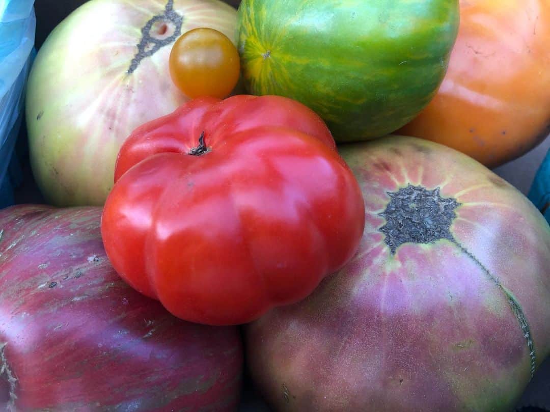 のインスタグラム：「Heirloom #Tomato heaven!」