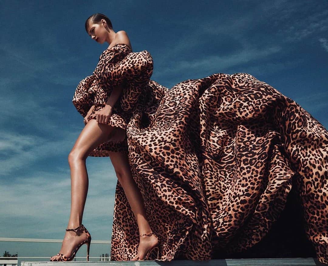 ヴァレリー・カウフマンのインスタグラム：「Standing tall for @HarpersBazaarCZ September cover story by @GregKadelStudios 🐆💙 @mariakohutik @evzeniehabron @nicolasjurnjack @julymua」