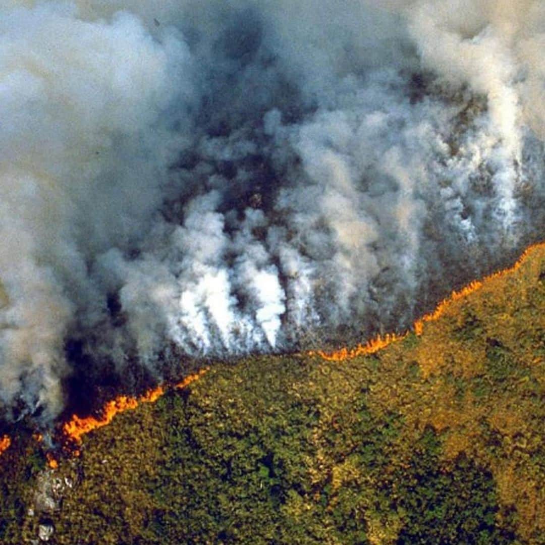 ブルック・バークさんのインスタグラム写真 - (ブルック・バークInstagram)「・・・ #Repost @karmagawa ・・・ @alessandraambrosio  The AMAZON RAINFOREST has been burning for 3 weeks.....WTF! We are on the verge of losing it completely if the fire isn’t put out soon! The loss of trees, the loss of biodiversity is what is accelerating climate change...and yet nobody is saying a word! Nobody is doing anything for our largest rainforest in the world! Nobody is doing anything for some of the most beautiful people in the world, nobody is doing anything for the incredible animals there either! Mother Nature is angry with us…so we all need to wake up ASAP before we suffer some major consequences due to our irresponsible behavior and inaction so spreading awareness to everyone RIGHT NOW is crucial to saving the rainforest from destruction! News/media outlets are quick to cover political controversy and negative stories, but won’t talk about this urgent issue so we must all use our social media platforms and send them this post and when they get enough emails, DMs and messages about this story they will be FORCED to cover it and then the world will finally see what’s happening RIGHT NOW! Please share this post with any news media you follow and with ALL your followers and tell them to share it too…let’s all do what we can to get the word out ASAP and it’s also important to pray for Brazil too 🇧🇷 WE MUST SAVE THE RAINFOREST BY WORKING TOGETHER! Thank you for the head’s up @mikeholston #prayforbrazil #prayforamazonia #savetherainforest #karmagawa」8月22日 22時58分 - brookeburke