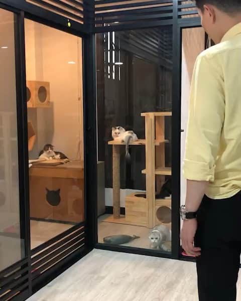 のインスタグラム：「KangaCou(gar) 🧸❤️ #cougarteamonlyyui น้องคูเก่งมากลูก ส่วนโคล่าก็เกเรมาก แม่เห็นนะ!」