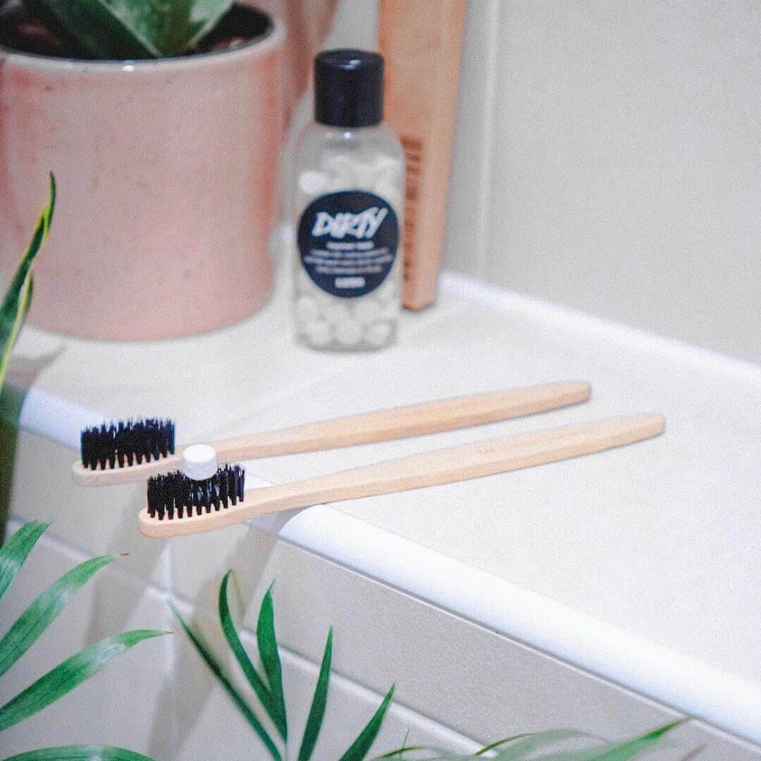 LUSH Cosmeticsさんのインスタグラム写真 - (LUSH CosmeticsInstagram)「Chompers craving some extra sparkle? 🦷 Our Dirty Toothy Tabs are flavored with spearmint and neroli essential oils, and rich in kaolin clay powder and sodium bicarbonate to help you scrub your pearly whites to gleaming perfection. / 📸: @jodeacxn ⁠ *⁠ *⁠ *⁠ *⁠ *⁠ #smile #dental #natural #health #greenbeauty #crueltyfree #dentalhygiene #ortho #handmade #cleanbeauty #ecobeauty #vegetarian #crueltyfreebeauty #greenbeautyblogger #wellness #allnatural #essentialoils⁠」8月23日 0時20分 - lushcosmetics