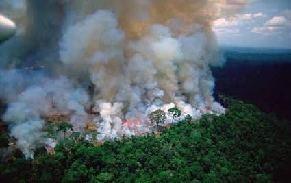 Lisa Halimさんのインスタグラム写真 - (Lisa HalimInstagram)「Pray for Amazon スワイプして見てね。 アマゾンで大規模な火災が起きています。 . こんなに美しい景色が一瞬で壊されていること 自然が焼かれ、動物たちが焼かれていること。 世界中の人間が知るべきだと思う。 罪のない動物たち…本当にかわいそう。 悲しいニュースを聞くたびに、 自分はこんな風に生きてて良いのかって思う。  だけどやっぱり人生は美しいって 思いながら生きていきたいから、 自分が出来ることを探して行動したい。 ありがとうと、ごめんなさい。 いつも感じながら生きてる。 . 私1人なんかがやったって変わらない って思う人たくさんいると思う。 でもそんなことはない！ 小さなことでも必ず繋がって 大きな力になっていくはず。 ちょっとしたことでも、 地球を守るために始めてみよう。 ぜひそう思って欲しい！！ . 私も出来ることしか出来てないし 無力感は感じたりする。 だけど、やらなきゃ。 やらなきゃ何も変わらない。  水があって、空気があって、 自然があって生かされていること。  当たり前になってしまっているけど 当たり前じゃない人生。 もらってばかりじゃなくて 返して生きなきゃ🌍 . INPEによると、アマゾンでは1分ごとにサッカー場1.5個分の熱帯雨林が燃えているとのこと。 . この火災の原因を作ったとして非難されているのが、ブラジル大統領であるジャイール・ボルソナーロ氏。ボルソナーロ氏は元陸軍大尉で、アマゾンの経済的可能性を探ることでブラジルの経済を回復するという公約を掲げている人物です。ボルソナーロ氏のもとブラジルの環境庁は予算削減を余儀なくされ、業者が伐採をしやすくなる形で罰則が緩和されました。環境非営利団体のObservatorio do Clima代表であるカルロス・リトル氏は「ボルソナーロ氏のビジネス的なスタンスが伐採業者や農家、採掘業者たちの活動を促進させたのかもしれない」と述べています。 . このような批判に対し、ボルソナーロ氏は「アマゾンの火災の責任はNGOにある」と訴えています。ボルソナーロ氏は、アマゾンの火災はブラジル政府を困らせるために環境NGOが始めたことだという持論を展開し、「私の意見としては、アマゾンの火災は、お金を失ったNGOによって始められたのではないかという疑問があります。この目的はブラジルに問題を与えるためです」と製鋼産業の議会で語りました。また、ボルソナーロ氏は「アマゾンの火災が撮影できたのは、団体がカメラを片手に火をつけたからだ」とも語っていますが、「証拠はあるのか？」という問いかけに対し「文書的な記録はない」と返しました。 . #prayforamazonia  #prayforamazonas  #prayforamazon」8月23日 0時42分 - lisahalim