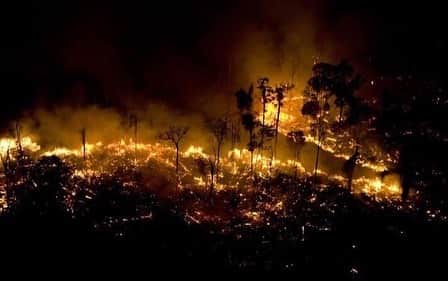 Lisa Halimさんのインスタグラム写真 - (Lisa HalimInstagram)「Pray for Amazon スワイプして見てね。 アマゾンで大規模な火災が起きています。 . こんなに美しい景色が一瞬で壊されていること 自然が焼かれ、動物たちが焼かれていること。 世界中の人間が知るべきだと思う。 罪のない動物たち…本当にかわいそう。 悲しいニュースを聞くたびに、 自分はこんな風に生きてて良いのかって思う。  だけどやっぱり人生は美しいって 思いながら生きていきたいから、 自分が出来ることを探して行動したい。 ありがとうと、ごめんなさい。 いつも感じながら生きてる。 . 私1人なんかがやったって変わらない って思う人たくさんいると思う。 でもそんなことはない！ 小さなことでも必ず繋がって 大きな力になっていくはず。 ちょっとしたことでも、 地球を守るために始めてみよう。 ぜひそう思って欲しい！！ . 私も出来ることしか出来てないし 無力感は感じたりする。 だけど、やらなきゃ。 やらなきゃ何も変わらない。  水があって、空気があって、 自然があって生かされていること。  当たり前になってしまっているけど 当たり前じゃない人生。 もらってばかりじゃなくて 返して生きなきゃ🌍 . INPEによると、アマゾンでは1分ごとにサッカー場1.5個分の熱帯雨林が燃えているとのこと。 . この火災の原因を作ったとして非難されているのが、ブラジル大統領であるジャイール・ボルソナーロ氏。ボルソナーロ氏は元陸軍大尉で、アマゾンの経済的可能性を探ることでブラジルの経済を回復するという公約を掲げている人物です。ボルソナーロ氏のもとブラジルの環境庁は予算削減を余儀なくされ、業者が伐採をしやすくなる形で罰則が緩和されました。環境非営利団体のObservatorio do Clima代表であるカルロス・リトル氏は「ボルソナーロ氏のビジネス的なスタンスが伐採業者や農家、採掘業者たちの活動を促進させたのかもしれない」と述べています。 . このような批判に対し、ボルソナーロ氏は「アマゾンの火災の責任はNGOにある」と訴えています。ボルソナーロ氏は、アマゾンの火災はブラジル政府を困らせるために環境NGOが始めたことだという持論を展開し、「私の意見としては、アマゾンの火災は、お金を失ったNGOによって始められたのではないかという疑問があります。この目的はブラジルに問題を与えるためです」と製鋼産業の議会で語りました。また、ボルソナーロ氏は「アマゾンの火災が撮影できたのは、団体がカメラを片手に火をつけたからだ」とも語っていますが、「証拠はあるのか？」という問いかけに対し「文書的な記録はない」と返しました。 . #prayforamazonia  #prayforamazonas  #prayforamazon」8月23日 0時42分 - lisahalim