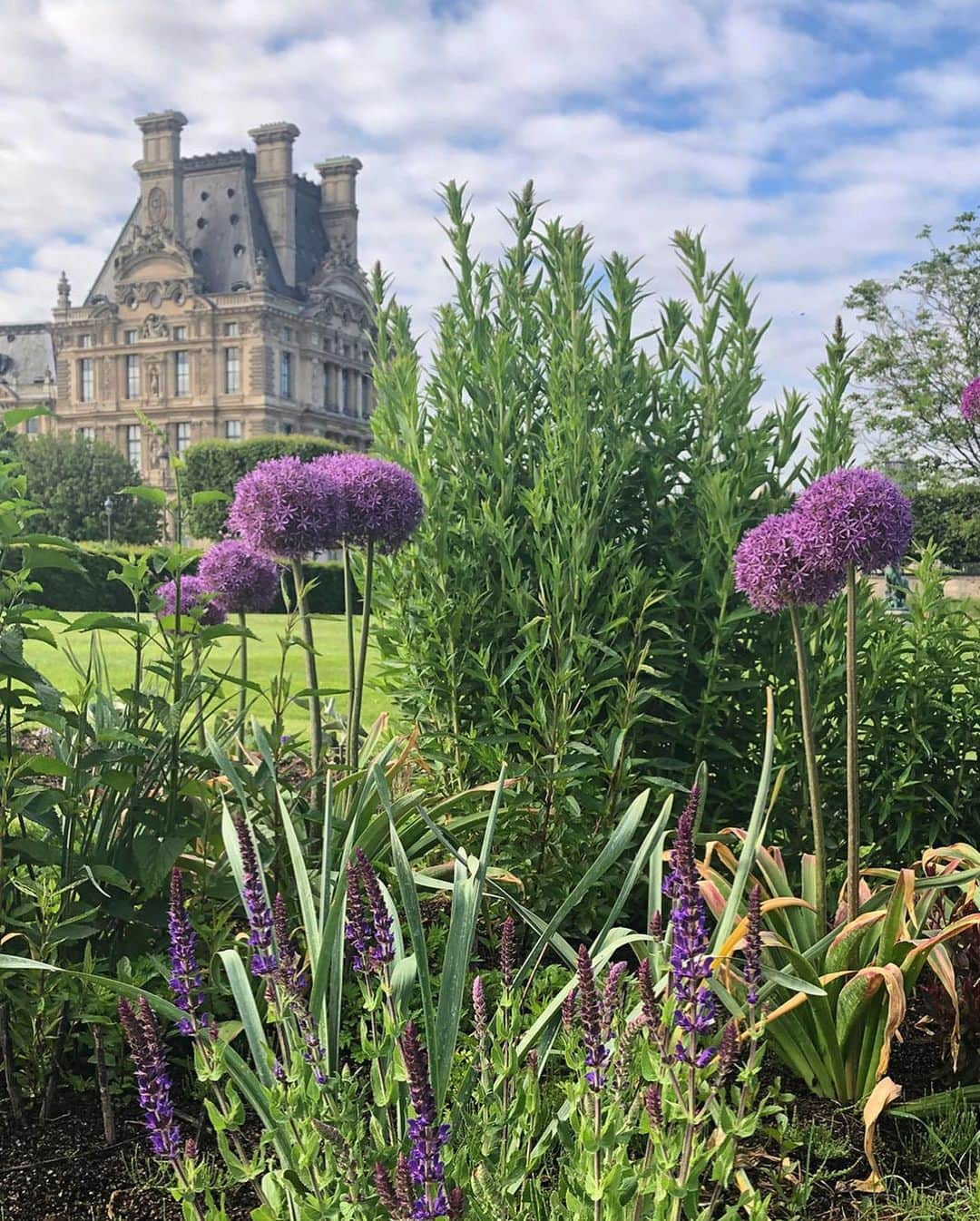 ルーブル美術館さんのインスタグラム写真 - (ルーブル美術館Instagram)「. 🇫🇷 Le saviez-vous ? Le musée du Louvre agit en faveur de la biodiversité au sein du #JardinDesTuileries 🌿 - 🐦 Les jardiniers d’art du Domaine national du Louvre et des Tuileries s’attachent à préserver les différentes espèces vivant dans le jardin. Par exemple, depuis 2016, ils ont installé 80 nichoirs qui permettent d’accueillir trois nouvelles espèces d’oiseaux : les mésanges, les moineaux et les rouges-gorges. - 🌷 Le fleurissement du jardin est également concerné : les jardiniers augmentent progressivement le nombre de plantes vivaces par rapport aux plantes saisonnières. Cela permet de diversifier les espèces présentes et de favoriser le développement de la vie biologique des massifs, même en hiver ! - - - - 🌏 Did you know? The musée du Louvre acts in favor of biodiversity in the #TuileriesGarden 🌿 - 🐦 The master gardeners of the National estate of the musée du Louvre and Tuileries Garden make every efforts to protect the different species living in the garden. For example, since 2016, they set up 80 birdhouses to accommodate 3 new bird species: sparrows, robins and chickadees. - 🌷 The flowerbeds are also affected: the gardeners gradually increase the part of perennial flowers compared to seasonal flowers. It makes possible to diversify the present species and to encourage the development of biological life in the flowerbeds, even in winter! - 📷 © Musée du Louvre (2019) / Maëlys Feunteun / Yoko Sfoggia . . . #Louvre #LouvreMuseum #MuséeDuLouvre #Tuileries #DéveloppementDurable #SustainableDevelopment」8月23日 0時55分 - museelouvre