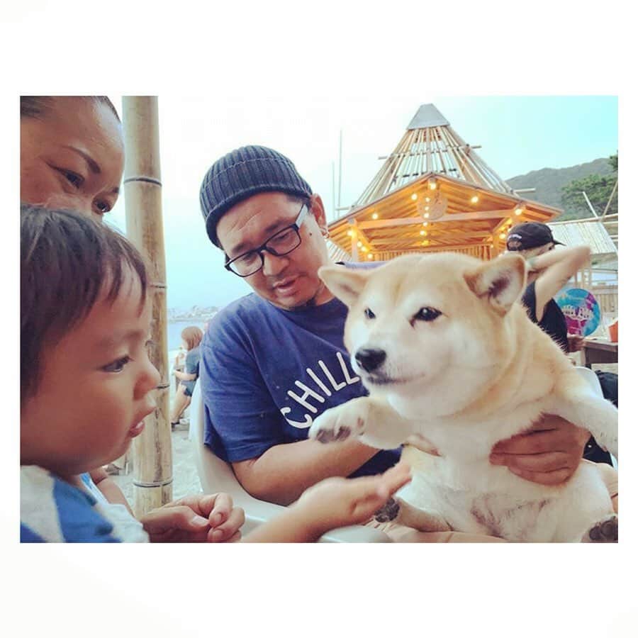Caravanさんのインスタグラム写真 - (CaravanInstagram)「いつか何も感じなくなって  動けなくなるまで  あと何回笑って何回泣けるかな。  過ぎゆく夏の日々の光。  2019年8月。」8月23日 1時33分 - caravan_harvest