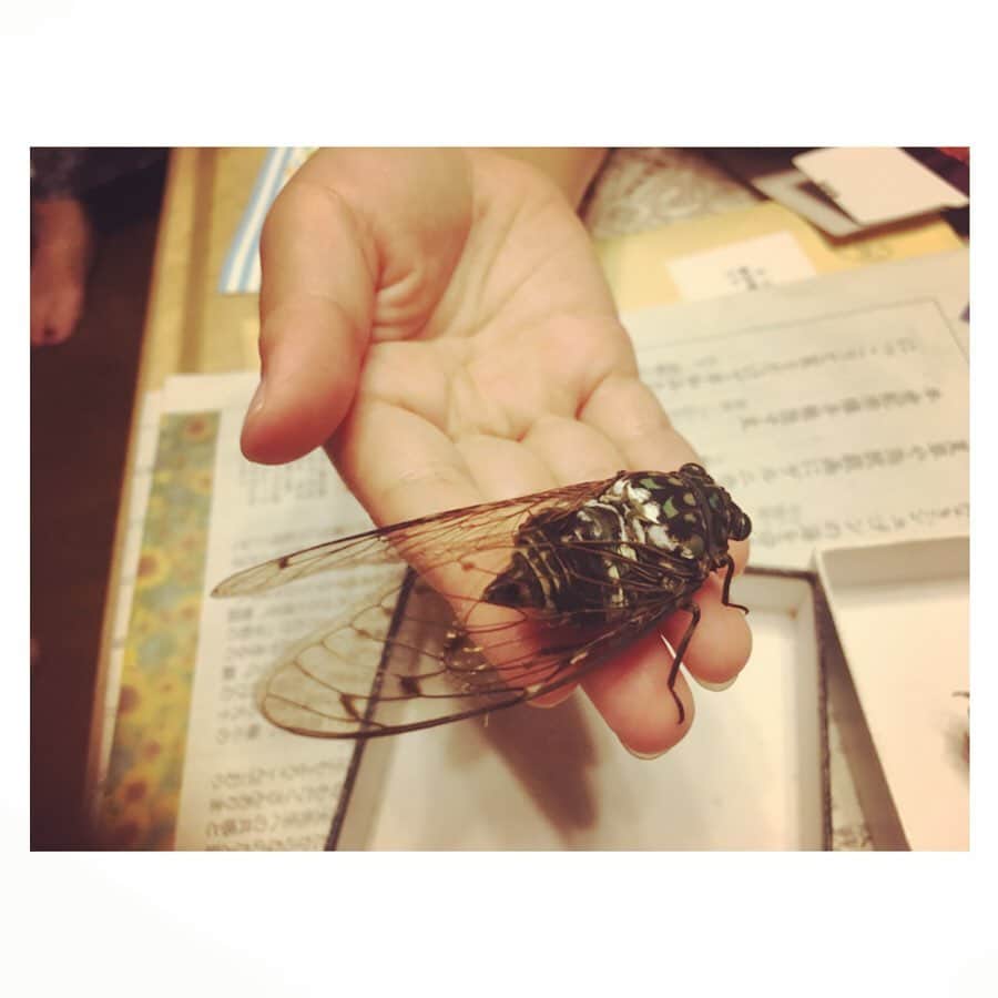 Caravanさんのインスタグラム写真 - (CaravanInstagram)「いつか何も感じなくなって  動けなくなるまで  あと何回笑って何回泣けるかな。  過ぎゆく夏の日々の光。  2019年8月。」8月23日 1時33分 - caravan_harvest