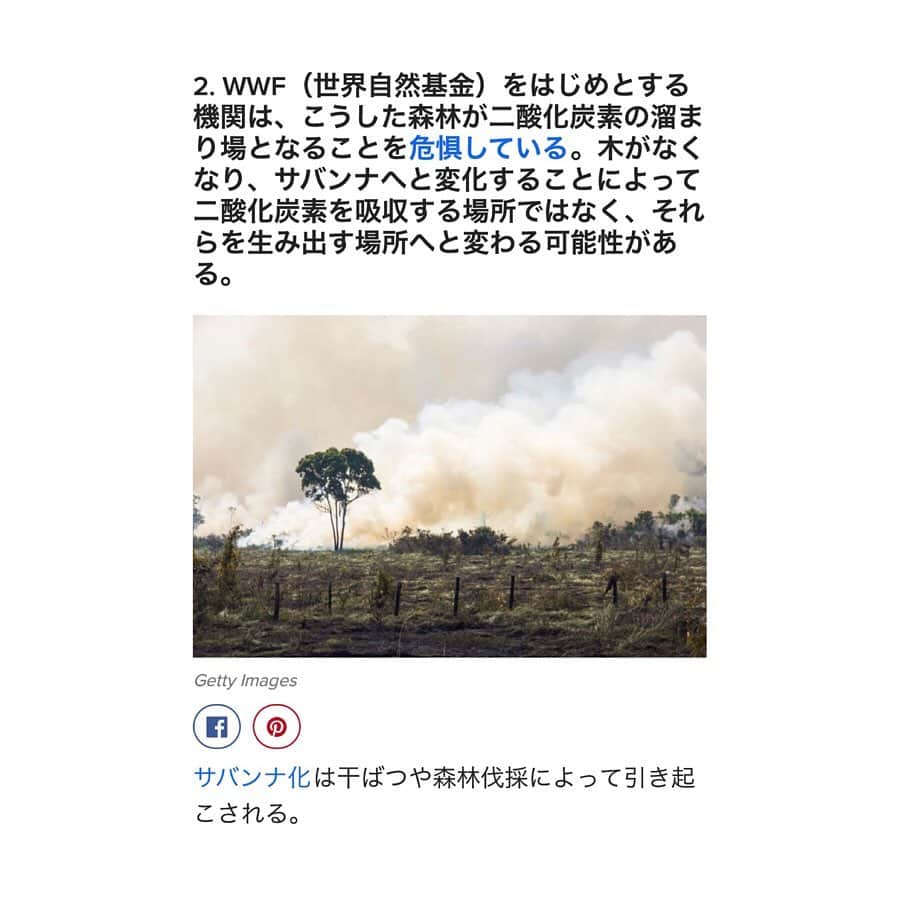山中海輝さんのインスタグラム写真 - (山中海輝Instagram)「・ ・ 地球上の20%の酸素が出されているブラジル・アマゾンで3週間も山火事が続いています。  ブラジルの反対側に住んでいるからといって僕たち日本人に関係ないわけではありません。 この火事によって地球温暖化はさらに加速し自然災害も増えると予想されていて いま直接的に影響がなくても必ず今後間接的に僕たちの生活にも影響を与えます！  本当に大切なことをメディアはあまり取りあげないですがこの現実を知るべきです。 これをきっかけに今一度環境問題に向き合うことが大切だと思います。 ・ ・ ・沢山の方に知ってもらう為に拡散お願いします。 #prayforamazonia  記事引用:BuzzFeed」8月23日 2時25分 - kaikiyamanaka
