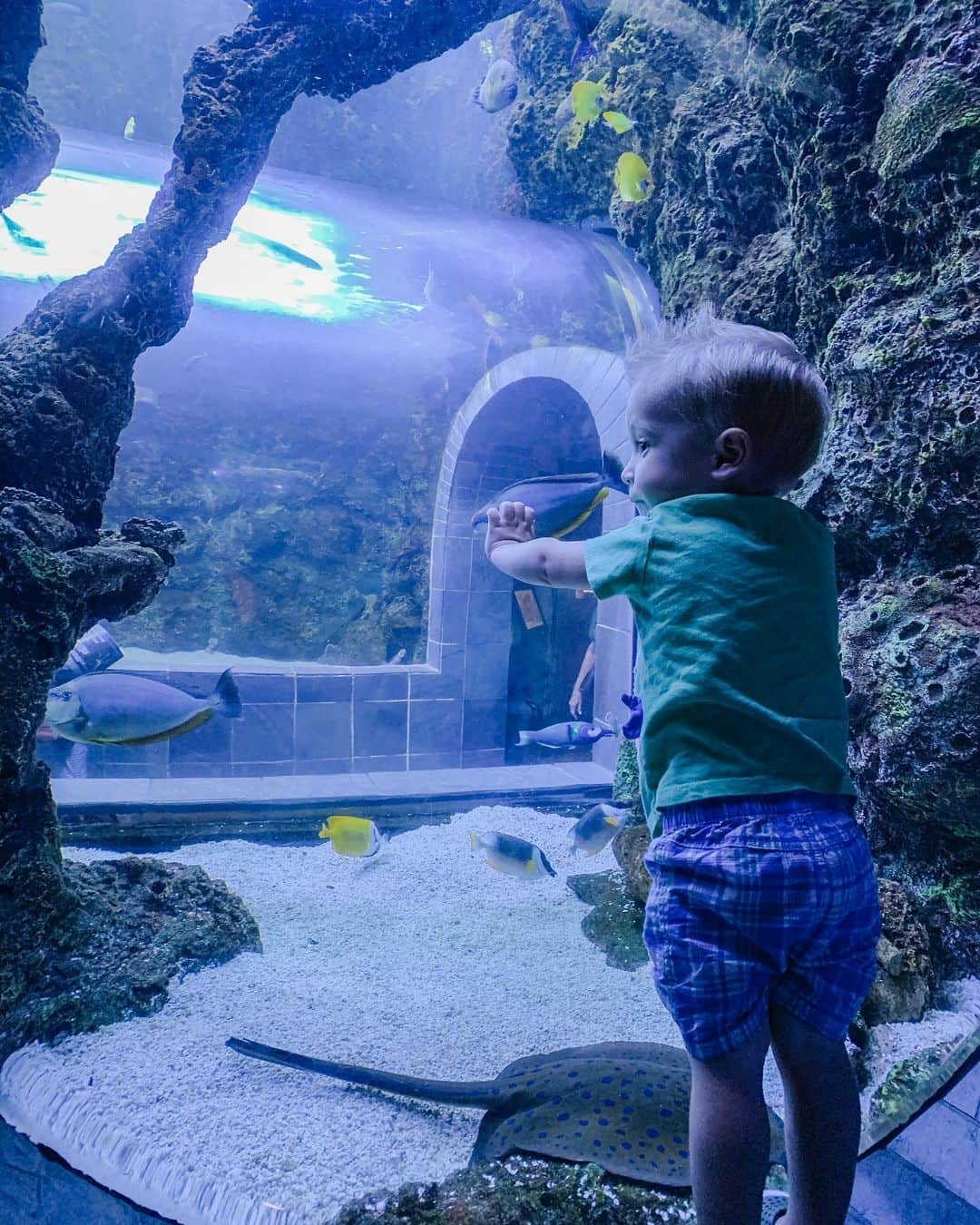 カーリー・パターソンさんのインスタグラム写真 - (カーリー・パターソンInstagram)「Impromptu vaca day calls for our first aquarium visit🦈🐠」8月23日 2時32分 - carlypatterson04