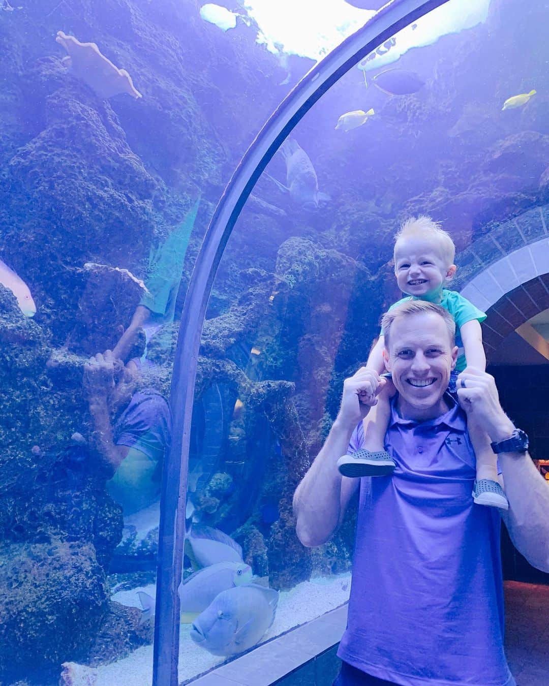 カーリー・パターソンのインスタグラム：「Impromptu vaca day calls for our first aquarium visit🦈🐠」