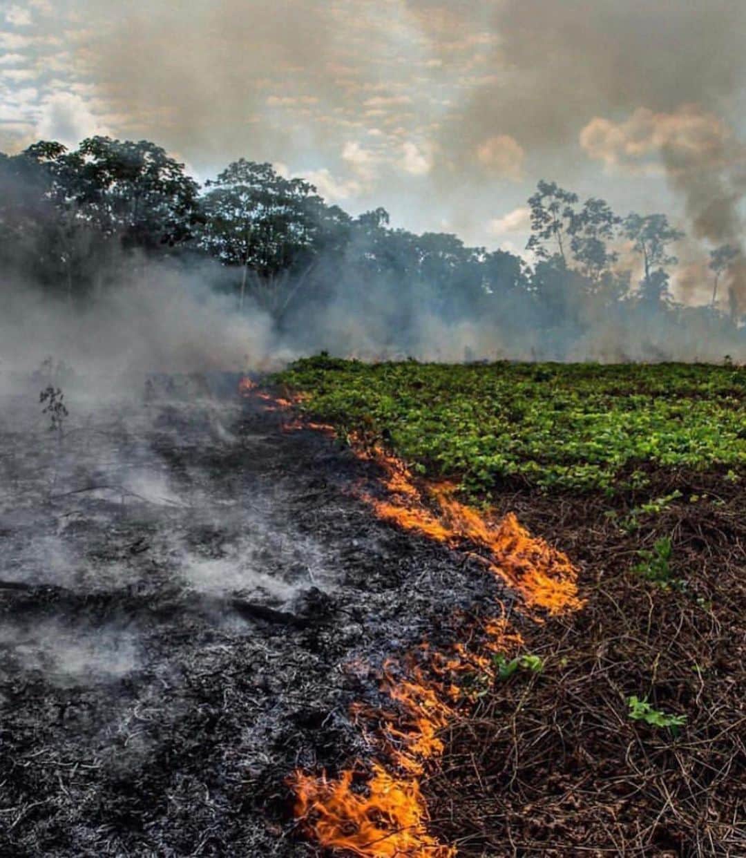 Aya（小山内あや）さんのインスタグラム写真 - (Aya（小山内あや）Instagram)「Enough... The Amazon is Ablaze. The Earth is hurting.... アマゾン川上流で記録的な規模の森林火災が起きています。周囲の住民や生態系に多大なる影響を及ぼしています…… アマゾンの熱帯雨林は湿気の多い気候の影響もあり比較的燃えにくい性質を持っています。 しかし、森林火災は「干ばつ」と「人間の活動」が組み合わさることで引き起こされているのです。 .......3週間経った今もなおアマゾンの森林が燃え広がってます。 「地球の肺」とも呼ばれるアマゾン。 地球全体の20%もの酸素を排出してくれてるこの森林一帯が燃え消えかかっています。 それは同時に私達の地球が「死」に近づいているというサインです。 それほどまでに広大な森林において発生した今回の大規模火災を無視することはできない。 What do we do to heal to this planet?? How do we put out the fires of industry?? We start with ourselves, the only ones we can change most directly. And then we start with our communities. And we continue in this fashion, no longer content with the way the world is until, together, we make a new one🌏. #地球が死にかかっています #拡散お願いします #PrayForAmazonia」8月23日 8時10分 - aya_fitness