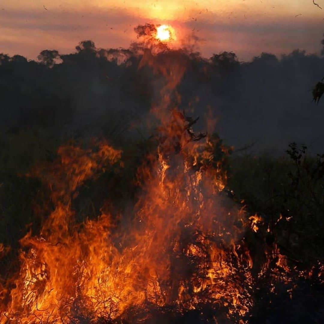 クリス・ジェンナーさんのインスタグラム写真 - (クリス・ジェンナーInstagram)「This is devastating!!! To human lives, to plants and animals, and to our planet. #prayforamazonia #savetheamazon @unitednations #Repost @rainforestalliance: "The lungs of the Earth are in flames. 🔥 The Brazilian Amazon—home to 1 million Indigenous people and 3 million species—has been burning for more than two weeks straight. There have been 74,000 fires in the Brazilian Amazon since the beginning of this year—a staggering 84% increase over the same period last year (National Institute for Space Research, Brazil). Scientists and conservationists attribute the accelerating deforestation to President Jair Bolsonaro, who issued an open invitation to loggers and farmers to clear the land after taking office in January.⁣ ⁣ The largest rainforest in the world is a critical piece of the global climate solution. Without the Amazon, we cannot keep the Earth’s warming in check. ⁣ ⁣ The Amazon needs more than our prayers. So what can YOU do?⁣ ⁣ ✔ As an emergency response, donate to frontline Amazon groups working to defend the forest. ⁣ ✔ Consider becoming a regular supporter of the Rainforest Alliance’s community forestry initiatives across the world’s most vulnerable tropical forests, including the Amazon; this approach is by far the most effective defense against deforestation and natural forest fires, but it requires deep, long-term collaboration between the communities and the public and private sectors. Link in bio.⁣ ✔ Stay on top of this story and keep sharing posts, tagging news agencies and influencers. ⁣ ✔ Be a conscious consumer, taking care to support companies committed to responsible supply chains.⁣ Eliminate or reduce consumption of beef;  cattle ranching is one of the primary drivers of Amazon deforestation. ✔ When election time comes, VOTE for leaders who understand the urgency of our climate crisis and are willing to take bold action—including strong governance and forward-thinking policy.⁣ ⁣ #RainforestAlliance #SaveTheAmazon #PrayForAmazonia #AmazonRainforest #ActOnClimate #ForestsResist #ClimateCrisis 📸: @mohsinkazmitakespictures / Windy.com"」8月23日 3時00分 - krisjenner