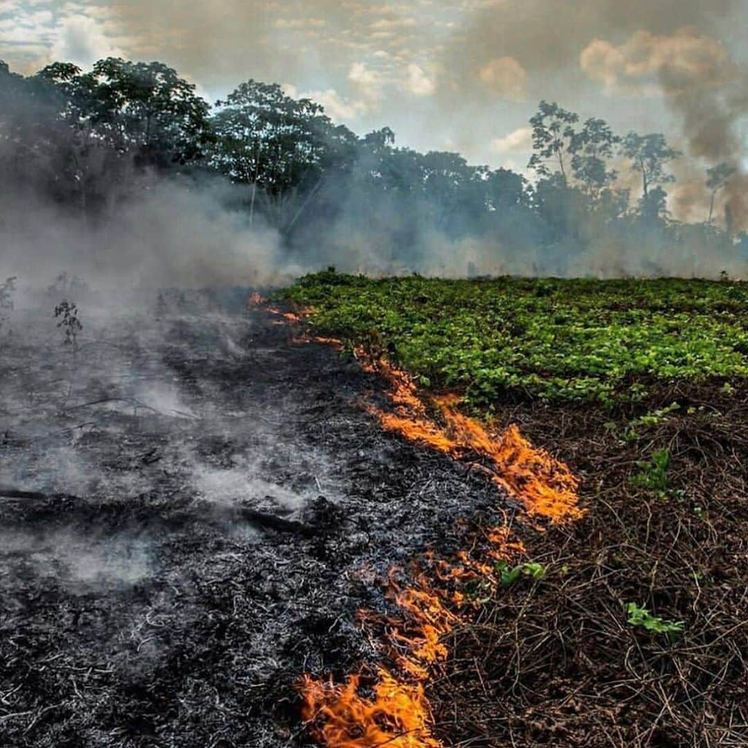 クリス・ジェンナーさんのインスタグラム写真 - (クリス・ジェンナーInstagram)「This is devastating!!! To human lives, to plants and animals, and to our planet. #prayforamazonia #savetheamazon @unitednations #Repost @rainforestalliance: "The lungs of the Earth are in flames. 🔥 The Brazilian Amazon—home to 1 million Indigenous people and 3 million species—has been burning for more than two weeks straight. There have been 74,000 fires in the Brazilian Amazon since the beginning of this year—a staggering 84% increase over the same period last year (National Institute for Space Research, Brazil). Scientists and conservationists attribute the accelerating deforestation to President Jair Bolsonaro, who issued an open invitation to loggers and farmers to clear the land after taking office in January.⁣ ⁣ The largest rainforest in the world is a critical piece of the global climate solution. Without the Amazon, we cannot keep the Earth’s warming in check. ⁣ ⁣ The Amazon needs more than our prayers. So what can YOU do?⁣ ⁣ ✔ As an emergency response, donate to frontline Amazon groups working to defend the forest. ⁣ ✔ Consider becoming a regular supporter of the Rainforest Alliance’s community forestry initiatives across the world’s most vulnerable tropical forests, including the Amazon; this approach is by far the most effective defense against deforestation and natural forest fires, but it requires deep, long-term collaboration between the communities and the public and private sectors. Link in bio.⁣ ✔ Stay on top of this story and keep sharing posts, tagging news agencies and influencers. ⁣ ✔ Be a conscious consumer, taking care to support companies committed to responsible supply chains.⁣ Eliminate or reduce consumption of beef;  cattle ranching is one of the primary drivers of Amazon deforestation. ✔ When election time comes, VOTE for leaders who understand the urgency of our climate crisis and are willing to take bold action—including strong governance and forward-thinking policy.⁣ ⁣ #RainforestAlliance #SaveTheAmazon #PrayForAmazonia #AmazonRainforest #ActOnClimate #ForestsResist #ClimateCrisis 📸: @mohsinkazmitakespictures / Windy.com"」8月23日 3時00分 - krisjenner