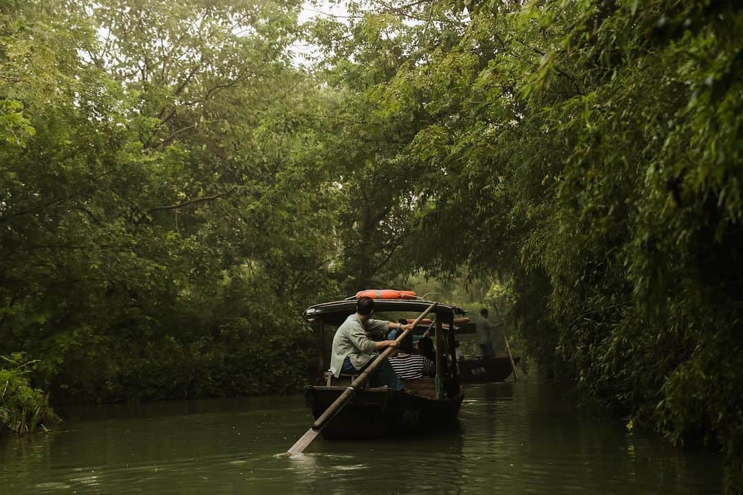 Yoshiko Kris-Webb クリス-ウェブ佳子さんのインスタグラム写真 - (Yoshiko Kris-Webb クリス-ウェブ佳子Instagram)「#XixiWetlandPark in Hangzhou 🛶 中国浙江省杭州市の西湖区と余杭区にまたがって所在する西渓湿地公園。この広大な湿地に張り巡らされた水路を５人乗りの手漕ぎボートで緩やかに進む。トム・ソーヤの冒険みたいだった。」8月23日 3時13分 - tokyodame