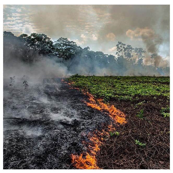 カロリナ・クルコヴァさんのインスタグラム写真 - (カロリナ・クルコヴァInstagram)「#prayforamazonia OUR PLANET NEEDS HELP! 🙏The Amazon Rainforest produces more than 20% of the world’s oxygen and it’s been burning for the past 3 weeks. It is our responsibility to save our planet 🙏 SHARE WIDELY.」8月23日 4時40分 - karolinakurkova