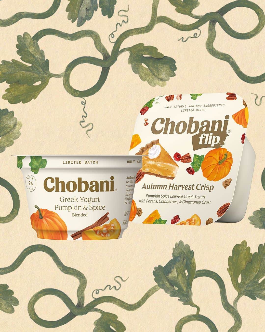 Chobaniのインスタグラム：「Crafted from only natural ingredients, our Limited Batch Pumpkin Spice flavors—Chobani® Greek Yogurt Blended with Pumpkin & Spice and Chobani® Flip® Autumn Harvest Crisp—are available for a limited time. Tag a pumpkin lover!」