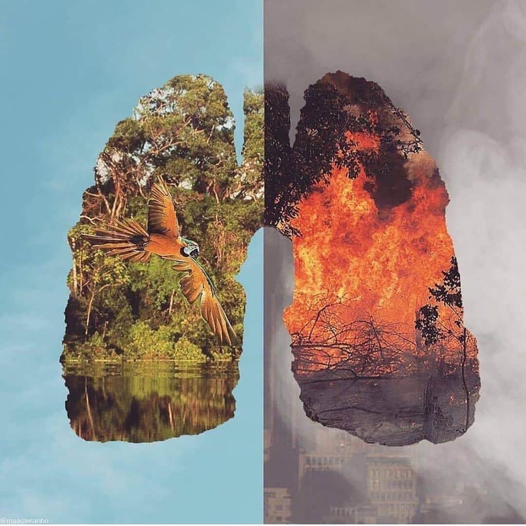 ヴィニシウス・ジュニオールのインスタグラム：「#Prayforamazonia 🙏🏾😢」