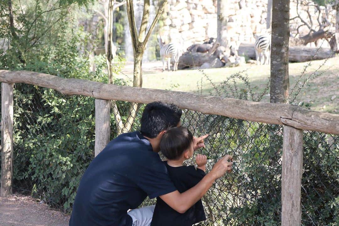 森岡亮太のインスタグラム：「・ 先日のOFFに動物園へ行ってきました🐘🦓🐍 子供と行くと動物園がより楽しく感じますね👍🏻 ・ #pairidaiza  #zoo #belgium」