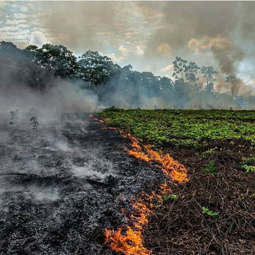 Claudia Raiaさんのインスタグラム写真 - (Claudia RaiaInstagram)「O coração do Brasil está em chamas, o fogo já passa de 17 dias... 20 mil hectares destruídos... e nós estamos sendo diretamente atingidos 😢 o fogo afeta a comunidade ribeirinha, os índios... o Brasil... o planeta inteiro 😢 #amazonia #todospelaamazonia  #prayforamazonia #equilibrio」8月23日 5時39分 - claudiaraia