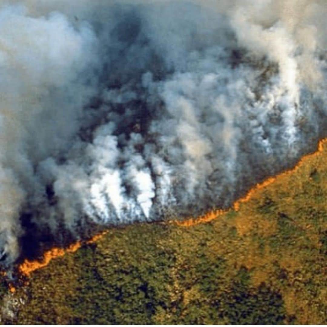 ジュリア・レストイン・ロイトフェルドさんのインスタグラム写真 - (ジュリア・レストイン・ロイトフェルドInstagram)「The lungs of the Earth are in flames. 🔥 The Brazilian Amazon—home to 1 million Indigenous people and 3 million species—has been burning for more than two weeks straight. There have been 74,000 fires in the Brazilian Amazon since the beginning of this year—a staggering 84% increase over the same period last year (National Institute for Space Research, Brazil). Scientists and conservationists attribute the accelerating deforestation to President Jair Bolsonaro, who issued an open invitation to loggers and farmers to clear the land after taking office in January.⁣ ⁣ The largest rainforest in the world is a critical piece of the global climate solution. Without the Amazon, we cannot keep the Earth’s warming in check. ⁣ ⁣ The Amazon needs more than our prayers. So what can YOU do?⁣ ⁣ ✔ As an emergency response, donate to frontline Amazon groups working to defend the forest. ⁣ ✔ Consider becoming a regular supporter of the Rainforest Alliance’s community forestry initiatives across the world’s most vulnerable tropical forests, including the Amazon; this approach is by far the most effective defense against deforestation and natural forest fires, but it requires deep, long-term collaboration between the communities and the public and private sectors. Link in bio.⁣ ✔ Stay on top of this story and keep sharing posts, tagging news agencies and influencers. ⁣ ✔ Be a conscious consumer, taking care to support companies committed to responsible supply chains.⁣ Eliminate or reduce consumption of beef; cattle ranching is one of the primary drivers of Amazon deforestation  #RainforestAlliance #SaveTheAmazon#PrayForAmazonia #AmazonRainforest#ActOnClimate #ForestsResist#climatecrisis  #regram @paolakudacki」8月23日 5時51分 - juliarestoinroitfeld