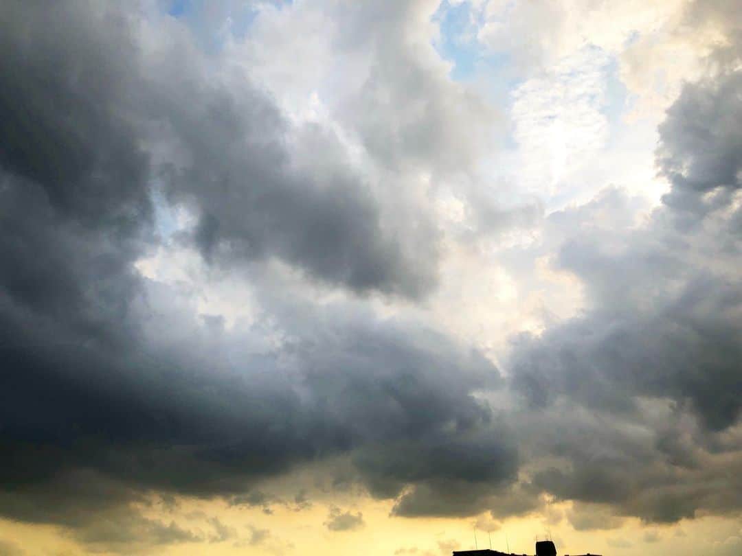 新谷姫加さんのインスタグラム写真 - (新谷姫加Instagram)「嵐が去った」8月23日 17時22分 - hime._.gram