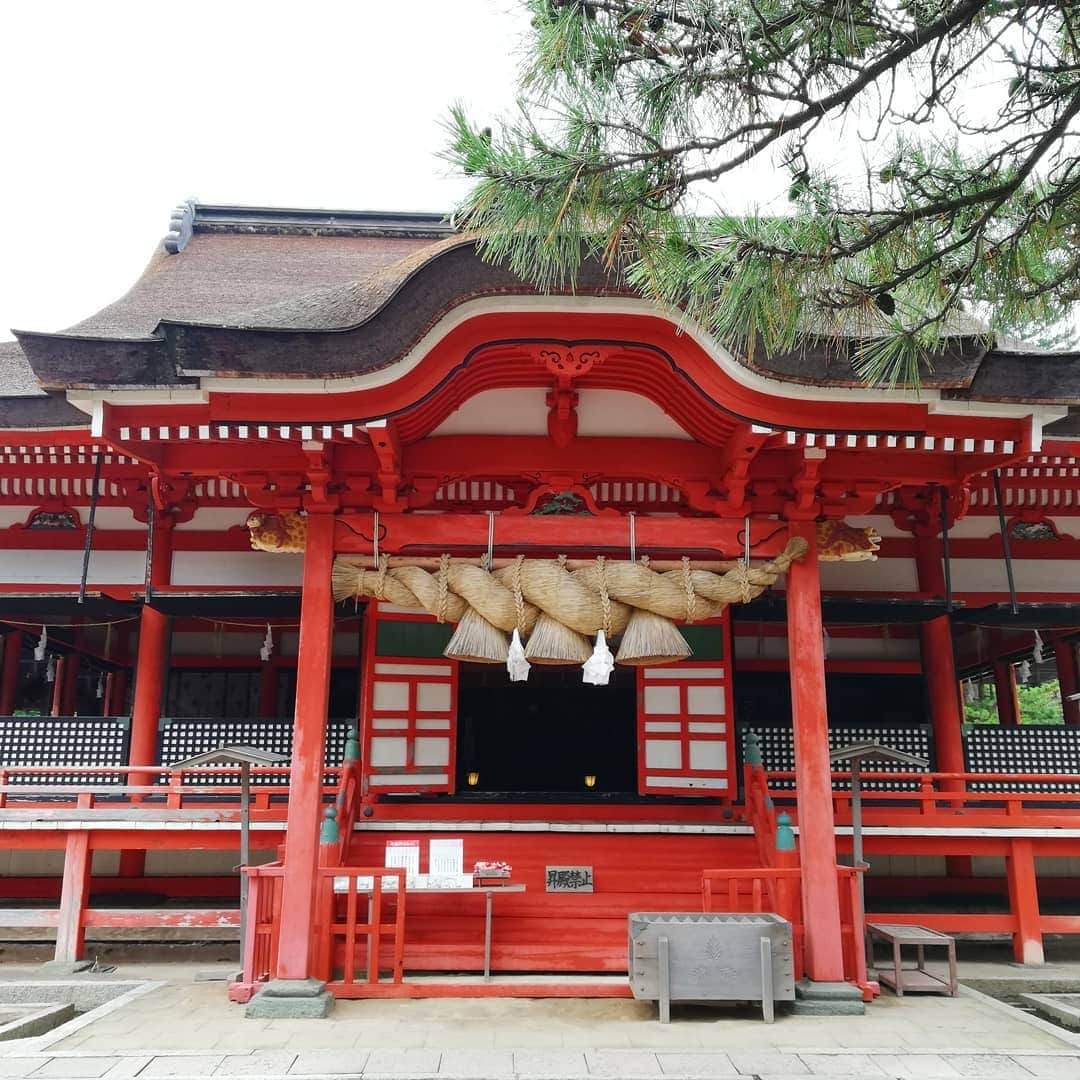 池田裕子さんのインスタグラム写真 - (池田裕子Instagram)「日御碕神社へ⛩️ 伊勢神宮が日本の昼を守っているのに対して、ここは日本の夜を守る場所🌌  日御碕神社には天照大神と須佐之男命が、そしてすぐ横の山の頂には月読命が祀られた月讀神社があるという三貴子揃った珍しい場所だよ。  #出雲 #島根 #日御碕神社 #月讀神社 #神社 #日本神話 #出雲神話」8月23日 15時51分 - kurimushiyoukan