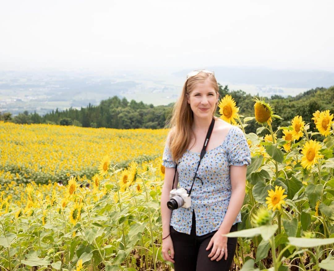 Rediscover Fukushimaさんのインスタグラム写真 - (Rediscover FukushimaInstagram)「Beautiful sunflowers at Sannokura Highlands in Kitakata 🌻🌻🌻」8月23日 16時02分 - rediscoverfukushima