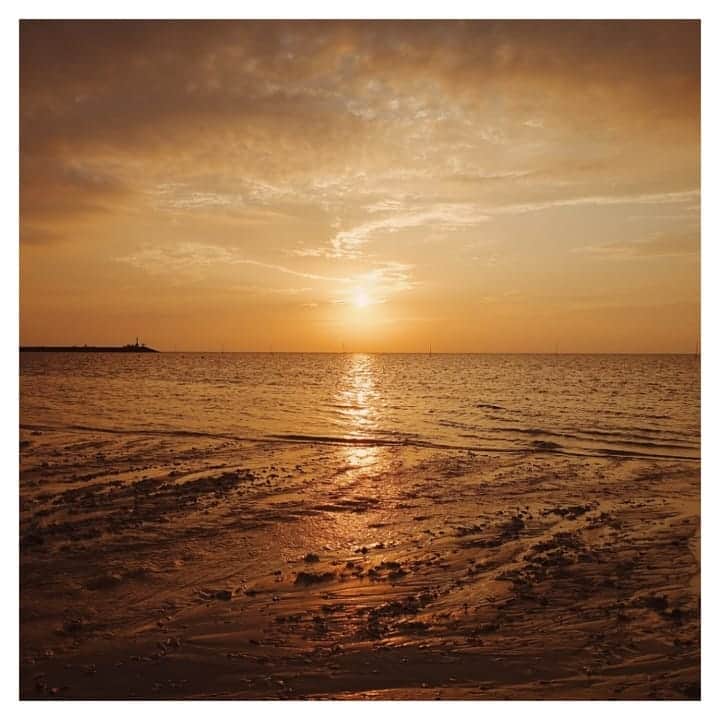 furryrate officialのインスタグラム：「短い夏は本当にあっという間🌅 . . 今年は特に早く感じたなぁ💨💨 . . どんな秋を迎えよう？📚🍖🏃 . #furryrate #furry #ファーリーレート #ファーリー #海 #夏 #秋 #空 #夕陽 #sea #sunset #sky #orange #nostalgia」