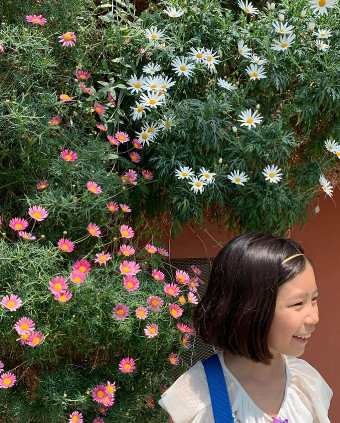 AYUMIさんのインスタグラム写真 - (AYUMIInstagram)「シンガポールの木々やお花たち のびのびとしているな🌿🌺🌳 . . #シンガポール🇸🇬 #家族旅行 #ガーデンズバイザベイ #植物園」8月23日 16時37分 - ayumiayunco