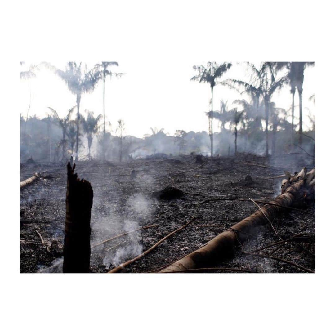 マーク・ハミルさんのインスタグラム写真 - (マーク・ハミルInstagram)「As glaciers melt & Brazil's Amazon rainforest burns- remember the head of the #EPA is a former coal lobbyist who weakened the Clean Water Rule- Fuel Efficiency & Air Pollution Standards, appointed by a "leader" who calls Climate Change a "Chinese Hoax"😩」8月23日 16時47分 - markhamill