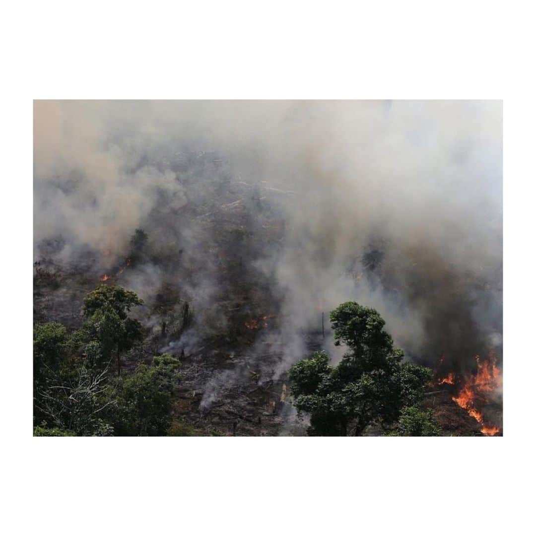 マーク・ハミルさんのインスタグラム写真 - (マーク・ハミルInstagram)「As glaciers melt & Brazil's Amazon rainforest burns- remember the head of the #EPA is a former coal lobbyist who weakened the Clean Water Rule- Fuel Efficiency & Air Pollution Standards, appointed by a "leader" who calls Climate Change a "Chinese Hoax"😩」8月23日 16時47分 - markhamill