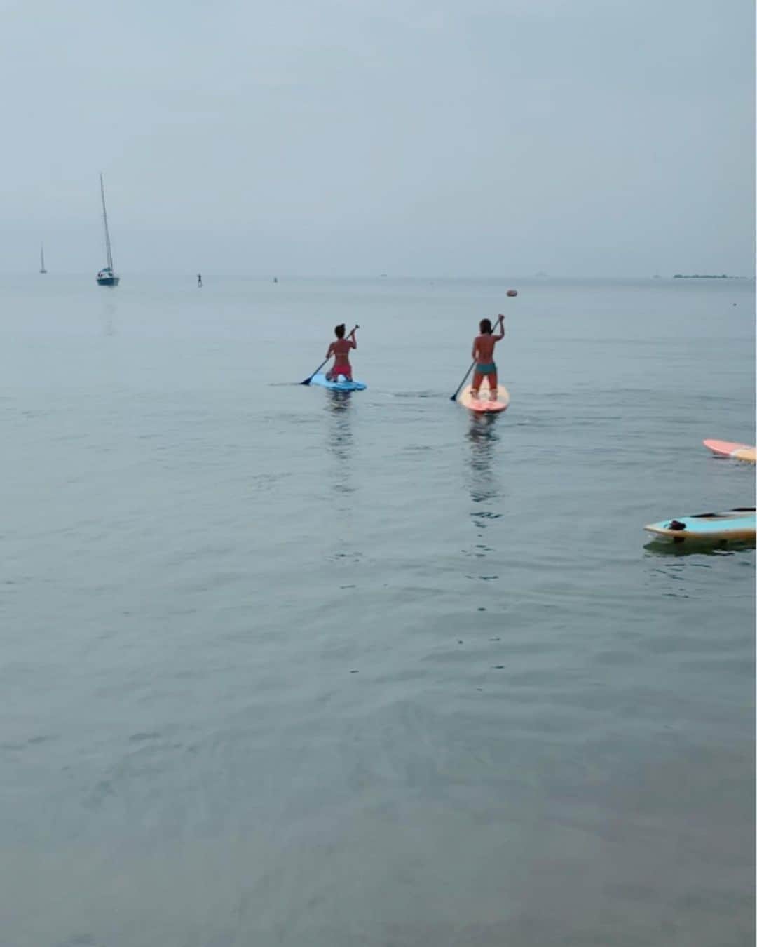 野田彩加さんのインスタグラム写真 - (野田彩加Instagram)「初めてのSUP🏄‍♀️ ちょー楽しかった♥️ 📱をもって行かなかったのが悔やまれる🥺 できるってわかったから次はもっていこー🥺♥️ ・ ・ 1枚目の狩に行く感じすき笑 ・ ・  #sup #supbord #サップ #サップボード #超楽しい #夏 #summer #海 #一色海岸 #あやの夏 #2019」8月23日 9時22分 - aya.205