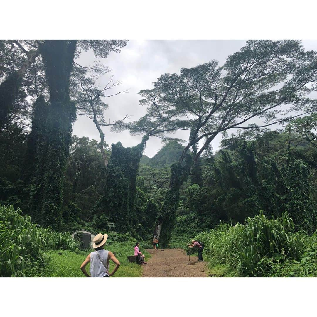 チョ・ヨジョンさんのインスタグラム写真 - (チョ・ヨジョンInstagram)「🌳 즉흥 하이킹.  바다만큼 숲 또한 언제나 옳다^^. 🌳」8月23日 10時24分 - lightyears81