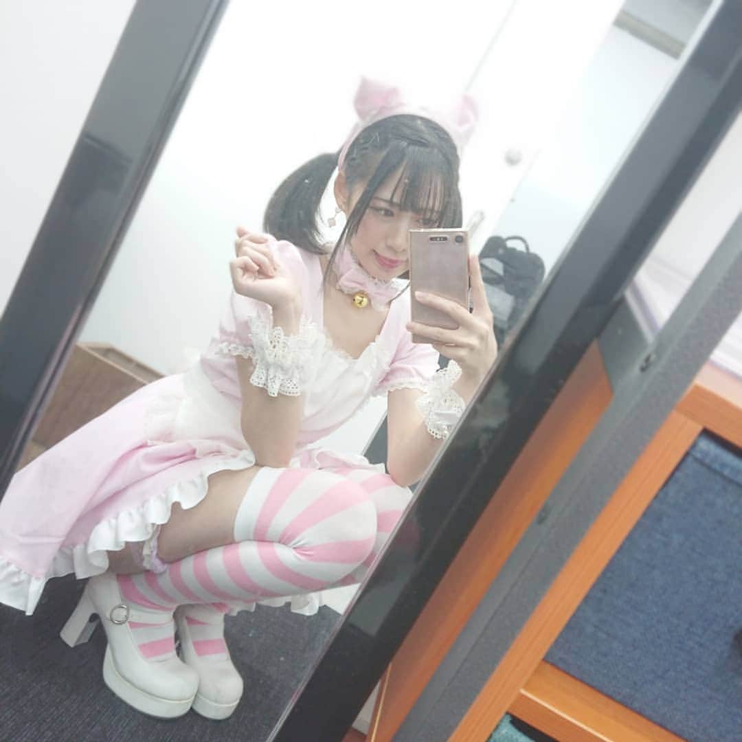 空野青空のインスタグラム：「. .  ご帰宅お待ちしております〜💁 . . . #あおねコス #猫耳 #ネコミミ #メイド服 #メイド #コスプレ #cosplaygirl #cosplay #made #bodyline #ニーソ #ニーハイソックス #ツインテール #ツインテ #シースルーバング #あおにゃん #aonyan #aoneko #空野青空 #幸薄顔ちゃん #初号機ボディ #ソフマップ #秋葉原 #akihabara #akiba #超速g作戦」