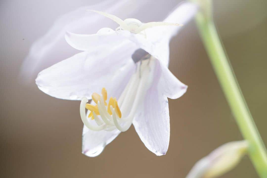 山人のグルメインスタ