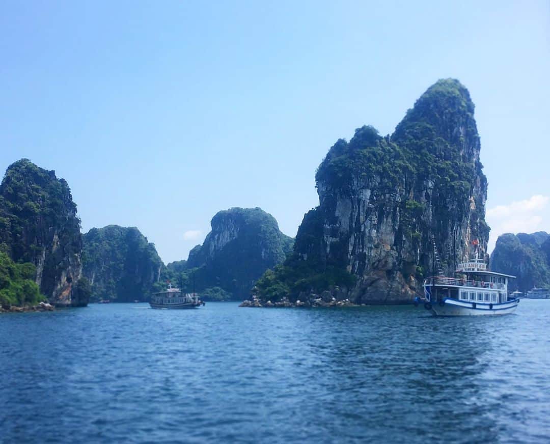 旅行比較サイト・トラベルコ 理想の旅を、いちばん安く。のインスタグラム：「早くも秋が近づいてきたような気候ですね🍁 * 秋の海外旅行先におすすめなのは、10月後半から乾季となり、観光ベストシーズンを迎える #ベトナム #ハノイ 。そして、ハノイ観光と言えば何といっても #ハロン湾クルーズ は欠かせないでしょう！🛥 * 日本でいう、宮城県の松島に近いイメージでしょうか🤔 青い海と奇岩群のコラボレーションが幻想的で、まるで水墨画の世界のよう！　クルーズ船内では、エビやシャコなど、現地の美味しいシーフード料理も楽しめますよ🍴 * ハノイ市内からの日帰り観光が主流。あらかじめ送迎や食事が含まれているオプショナルツアーに参加するのがラクチンでおすすめです☝️ * 一度は見たい #ハロン湾 の絶景。ぜひこの秋訪れてみてはいかがでしょうか💁🏻‍♀️？ * * * あなたが訪れた旅先での写真に《 @travelko_chan 》《 #トラベルコ 》《 #travelko 》とタグ付けして投稿してみてください！こちらのアカウントで紹介させていただくかもしれません♪ * * * #ハロン湾 #ハロン湾クルーズ #ハノイ #ベトナム #halongbay #vietnam #アジア #世界遺産 #worldheritage #絶景 #海外旅行 #travel #trip #landscape #view #sightseeing #フォトジェニック #旅行好きな人と繋がりたい #写真好きな人と繋がりたい #女子旅 #一人旅 #カメラ女子 #カメラ男子 #instatravel #travelgram #instagood #instaphoto #travelko #トラベルコ #トラベルコちゃん @visitvietnam」
