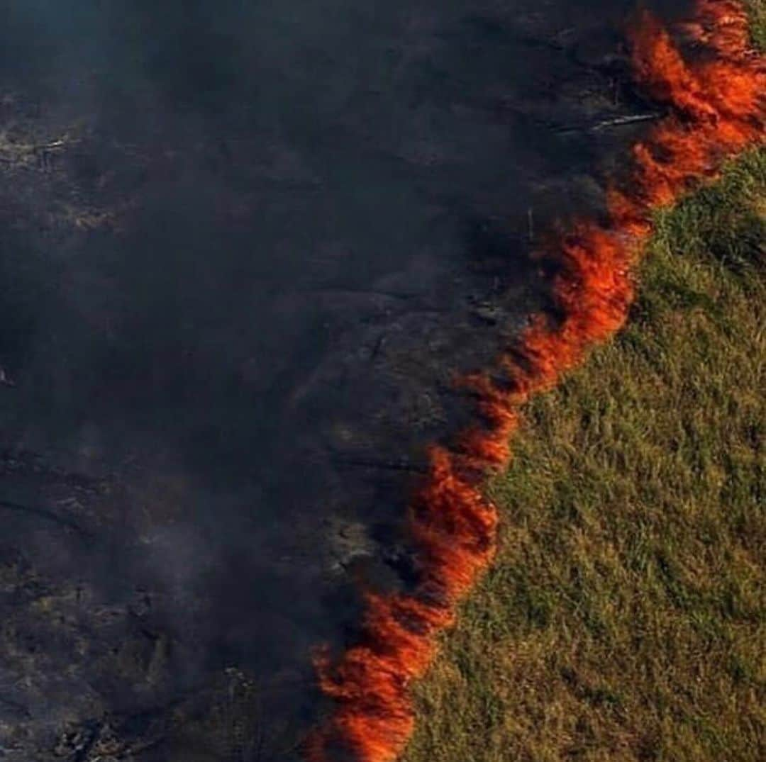 呉建豪さんのインスタグラム写真 - (呉建豪Instagram)「GET WOKE!!!!!!! 🤬💔🌍 #repost @discoverocean ・・・ The lungs of the Earth are in flames. 🔥 The Brazilian Amazon (home to 1 million Indigenous people and 3 million species) has been burning for more than two weeks straight. There have been 74,000 fires in the Brazilian Amazon since the beginning of this year - a staggering 84% increase over the same period last year (National Institute for Space Research, Brazil). - Scientists and conservationists attribute the accelerating deforestation to President Jair Bolsonaro, who issued an open invitation to loggers and farmers to clear the land after taking office in January.⁣ The largest rainforest in the world is a critical piece of the global climate solution. Without the Amazon, we cannot keep the Earth’s warming in check.  The Amazon needs more than our prayers. So what can YOU do?⁣! - 1. As an emergency response, donate to frontline Amazon groups working to defend the forest. Donate to one or all of these: @amazonfrontlines @rainforestalliance @amazonaid @amazonwatch @savingtheamazon @amazonconservationteam @wwf @rainforesttrust @rainforestactionnetwork - please comment with more! - 2. Consider becoming a regular supporter of the Rainforest Alliance’s community forestry initiatives across the world’s most vulnerable tropical forests, including the Amazon; this approach is by far the most effective defense against deforestation and natural forest fires, but it requires deep, long-term collaboration between the communities and the public and private sectors. Link in bio! - 3. Stay on top of this story and keep sharing posts, tagging news agencies and influencers. - 4. Be a conscious consumer, taking care to support companies committed to responsible supply chains.⁣ Eliminate or reduce consumption of beef; cattle ranching is one of the primary drivers of Amazon deforestation. - 5. When election time comes, VOTE for leaders who understand the urgency of our climate crisis and are willing to take bold action—including strong governance and forward-thinking policy.⁣ ⁣- #DiscoverOcean #SaveTheAmazon #PrayForAmazonia #AmazonRainforest」8月23日 12時59分 - vannesswu