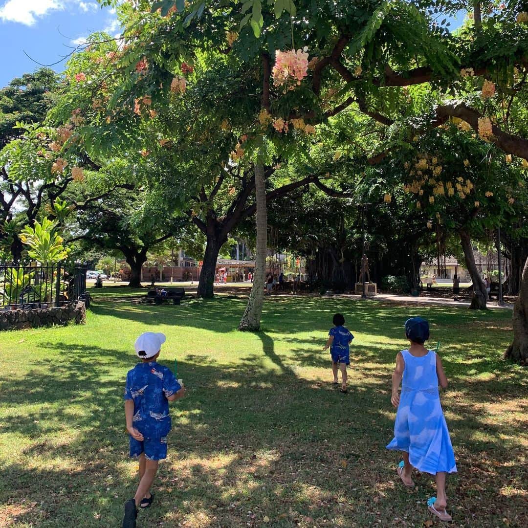 ayu kagawaさんのインスタグラム写真 - (ayu kagawaInstagram)「HONOLULU ZOO🐯 大きな木や広い芝生があって緑が多くてなんだかパワーをもらえた🌳✨😌🌿 娘と木陰で休憩が気持ち良かったな♡ 動物を見たり芝生で走り回ったり園内に少し遊具もあって、子供達は大喜びでした！ #honoluluzoo #naturepower」8月23日 13時46分 - ayuyunyun