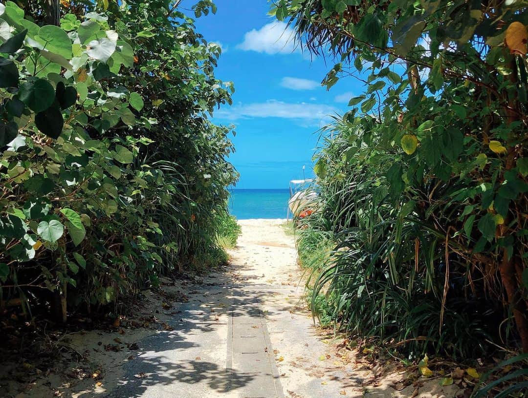 仲宗根泉さんのインスタグラム写真 - (仲宗根泉Instagram)「沖縄には あんなにたくさんの ビーチがあって 今も、観光客が多く訪れますが、それでも まだまだ、プライベートビーチのような知られてないビーチがたくさんあって 35年間住んでいても 飽きることがない。 . . . 自然を守りたいので 場所は書きませんが 沖縄に訪れた際は、是非 道に迷いながら 自分だけのビーチを 探してみては😊🍍🍍🍍 . . 動画編集しちゃうと 画像が荒くなるので 今日は、そのままで😘 . . #沖縄 #プライベートビーチ #最高の天気」8月23日 15時12分 - hy_izumi