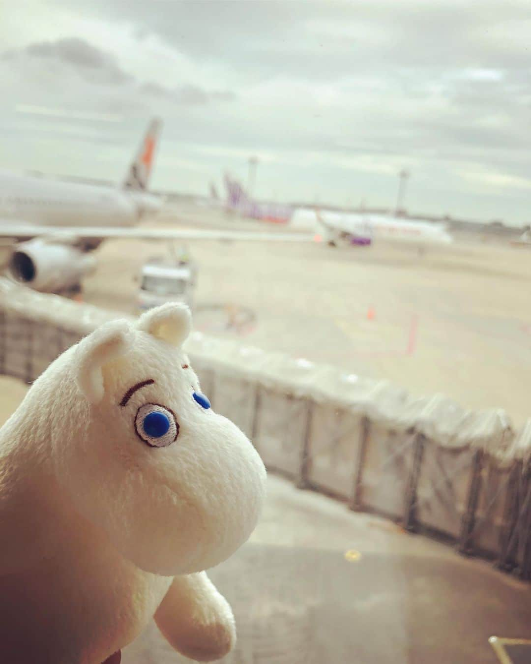 井上侑さんのインスタグラム写真 - (井上侑Instagram)「いざ！宮崎✈️ #宮崎へ #airplane #プロモーター の #イーミン と」8月23日 15時33分 - yuinouehappy