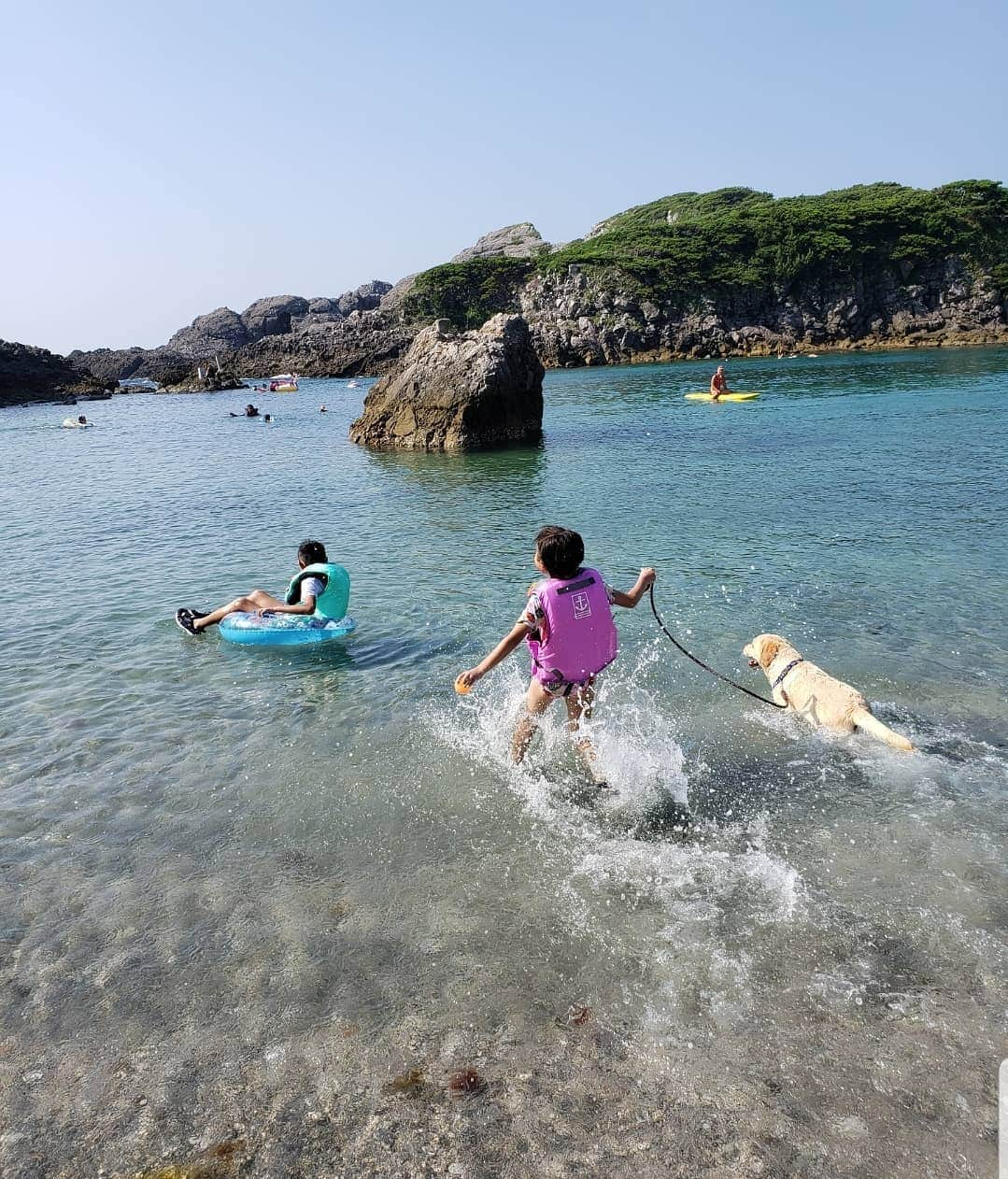 佐藤純さんのインスタグラム写真 - (佐藤純Instagram)「#式根島 1日目。  朝ラーメンして🍜、早速シュノーケル☀️ 写真4枚目…今年買ったシュノーケルグッズ。  これ、楽でいい！  ただ…バカ殿にしか見えない😂(笑)  たくさん、泳いで寒くなったら埋める(笑)！ 今年もミフユちゃんに会えた～🐶❤ めちゃめちゃ泳ぐのが上手🐶✨‼️ *  #式根島 #シキネジマ #shikinejima #泊海水浴場 #海 #夏休み #シュノーケル #水着 #ビキニ #親子 #兄妹 #チャラ子とチャラ男の夏休み #式根島のおもいで #島旅 #シュノーケリング #ママ0#ママモデル#モデル #mama #mamamodel #model」8月23日 15時35分 - junsatoidea