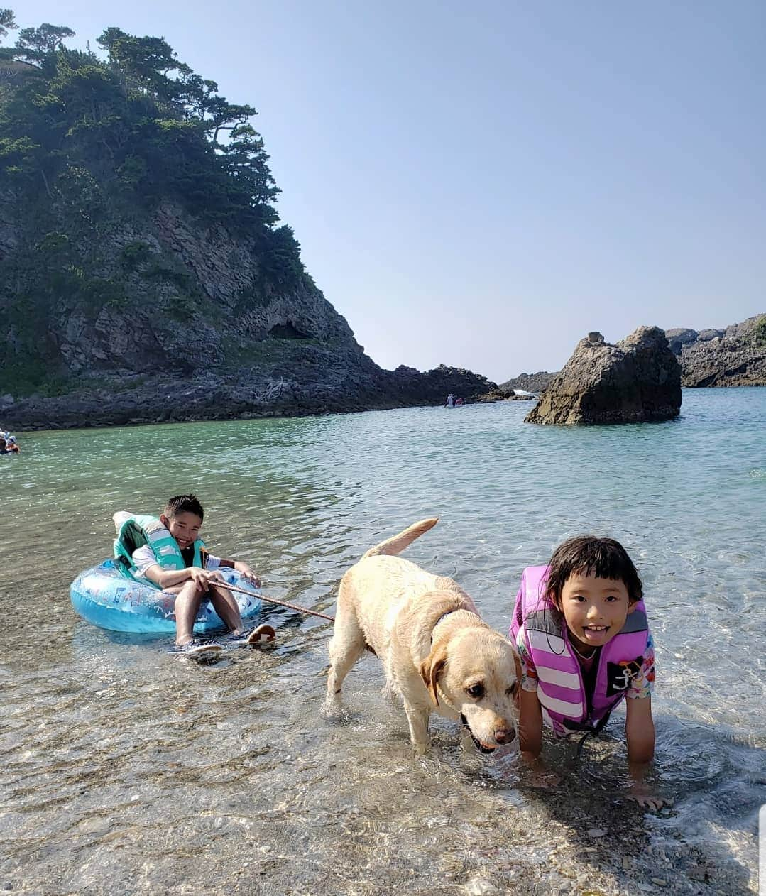 佐藤純さんのインスタグラム写真 - (佐藤純Instagram)「#式根島 1日目。  朝ラーメンして🍜、早速シュノーケル☀️ 写真4枚目…今年買ったシュノーケルグッズ。  これ、楽でいい！  ただ…バカ殿にしか見えない😂(笑)  たくさん、泳いで寒くなったら埋める(笑)！ 今年もミフユちゃんに会えた～🐶❤ めちゃめちゃ泳ぐのが上手🐶✨‼️ *  #式根島 #シキネジマ #shikinejima #泊海水浴場 #海 #夏休み #シュノーケル #水着 #ビキニ #親子 #兄妹 #チャラ子とチャラ男の夏休み #式根島のおもいで #島旅 #シュノーケリング #ママ0#ママモデル#モデル #mama #mamamodel #model」8月23日 15時35分 - junsatoidea