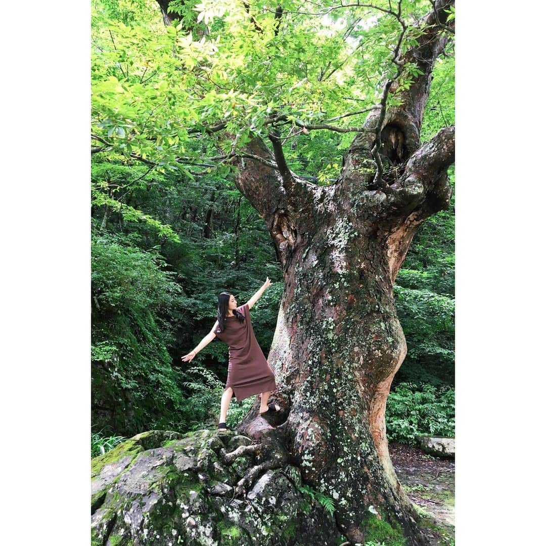 AO さんのインスタグラム写真 - (AO Instagram)「🌳 リフレッシュだね #木#自然#宮城#白石」8月23日 17時36分 - ao_sekiguchi