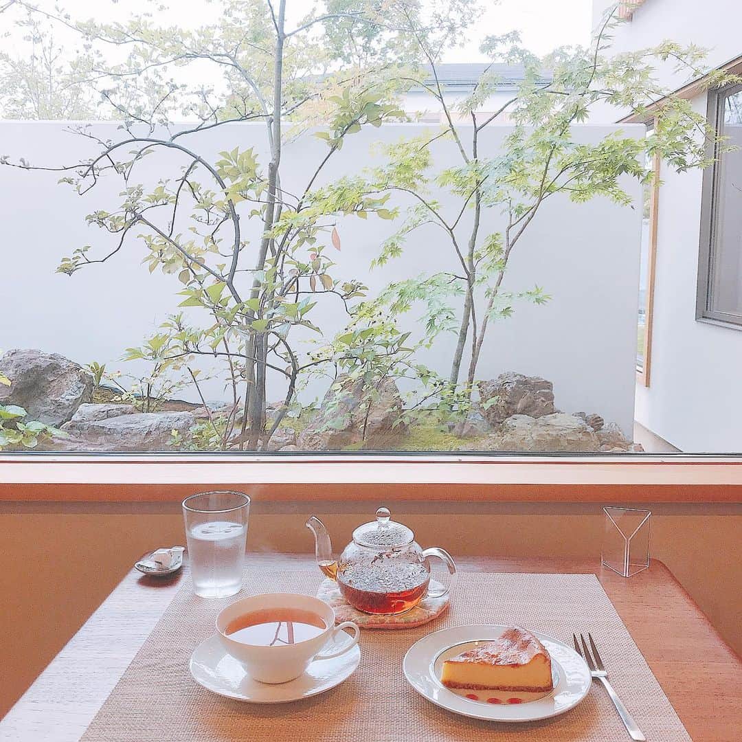 Licaのグルメインスタ