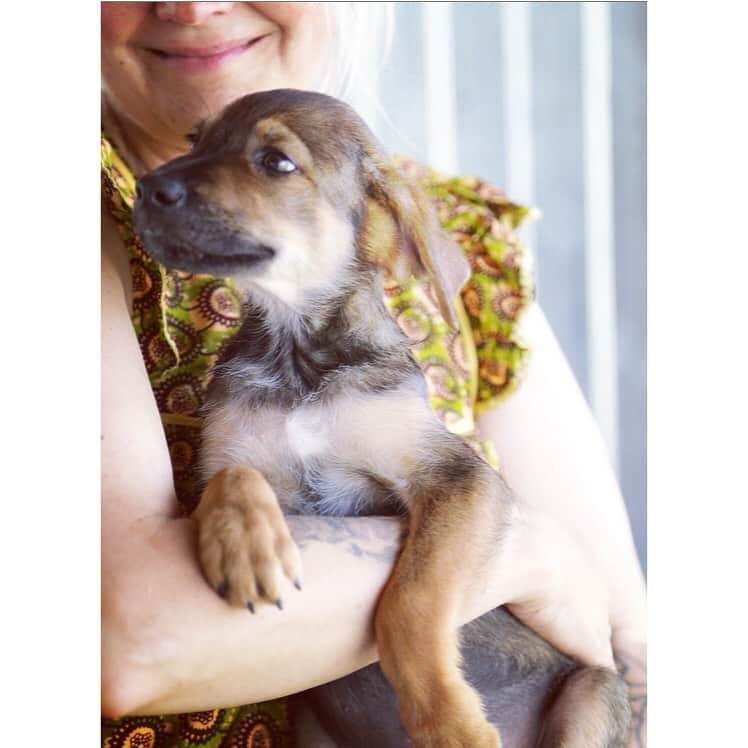 イヴァナ ヘルシンキさんのインスタグラム写真 - (イヴァナ ヘルシンキInstagram)「Animal Rights forever🖤 Paola is visiting Romania with @rescueyhdistyskulkurit #makeachange #nextbigthing #animalrights #spay #neuter #adopt #educate」8月23日 18時08分 - ivanahelsinki