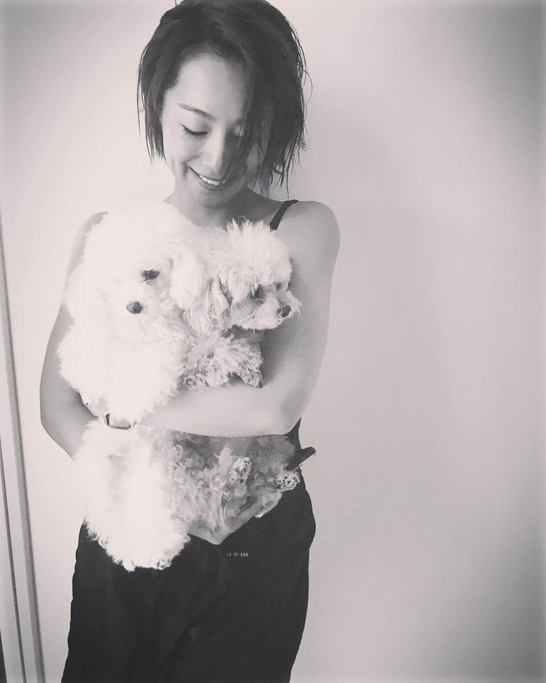 三船美佳さんのインスタグラム写真 - (三船美佳Instagram)「🐩🐕 #実家のわんわん#豆と玉#戌年」8月23日 18時14分 - mikamifune_official